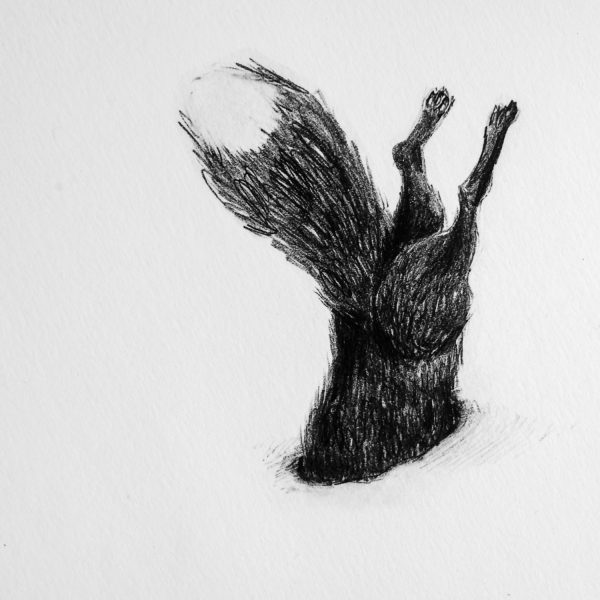 Chi cerca, trova - immagine 2