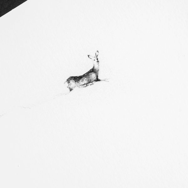 Lo stalker - immagine 2