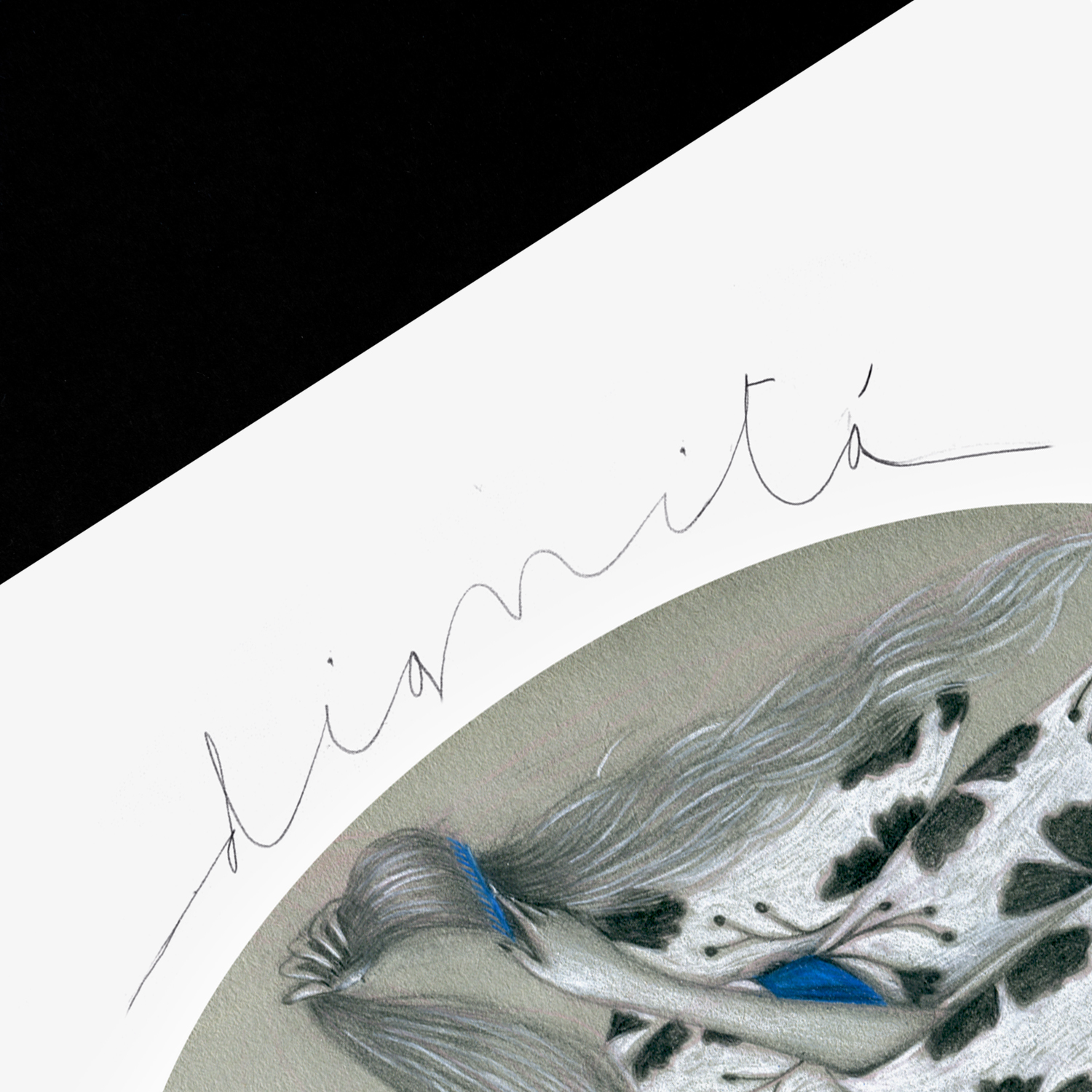 Donna barbuta sempre piaciuta - immagine 4