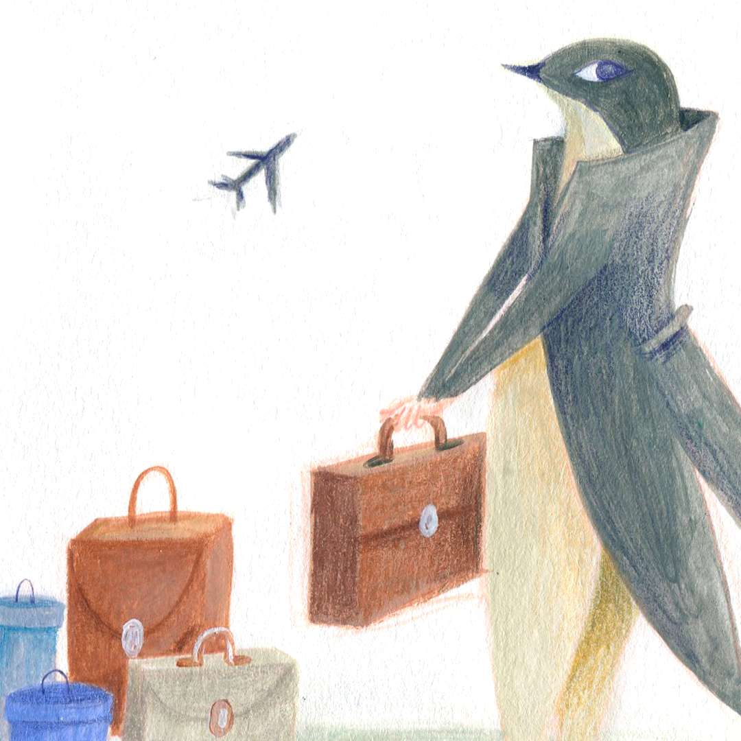 Il Viaggiatore Incallito - immagine 2